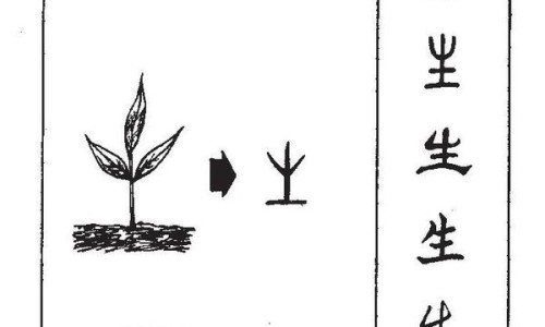 月经前胸胀和怀孕胸胀的区别网来月经之前的胸胀和怀孕的胸胀区别知识网站,分享来月经之前的胸胀和怀孕的胸胀区别大全